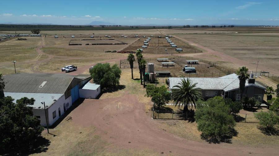 5 Bedroom Property for Sale in Darling Western Cape